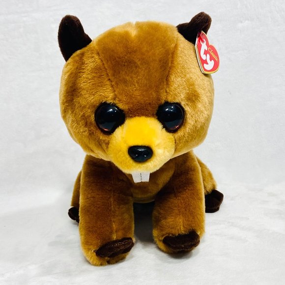 Classic Ty Richie Beaver - VelveTy Super Soft - All Tags - Picture 3 of 12